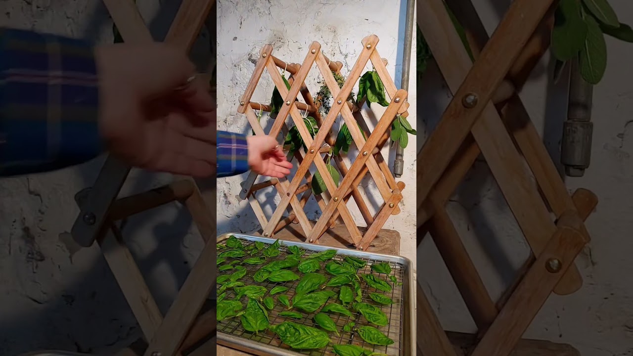 How to Hang Dry Herbs