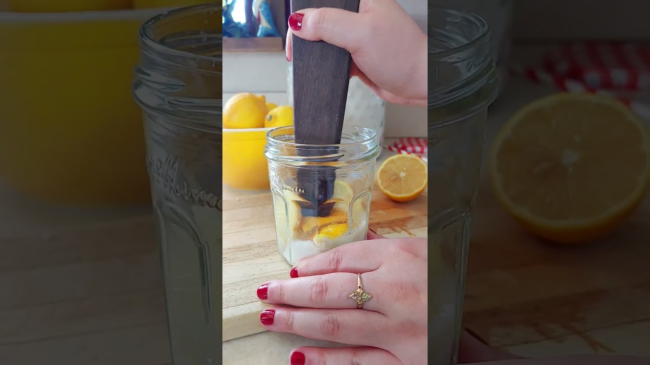The BEST State Fair Lemonade Recipe