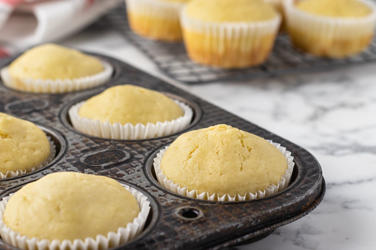 Basic Muffin Recipe. Muffins in muffin tin and cooling on rack.