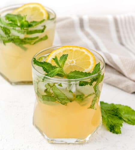 Lemon Mojito Mocktail