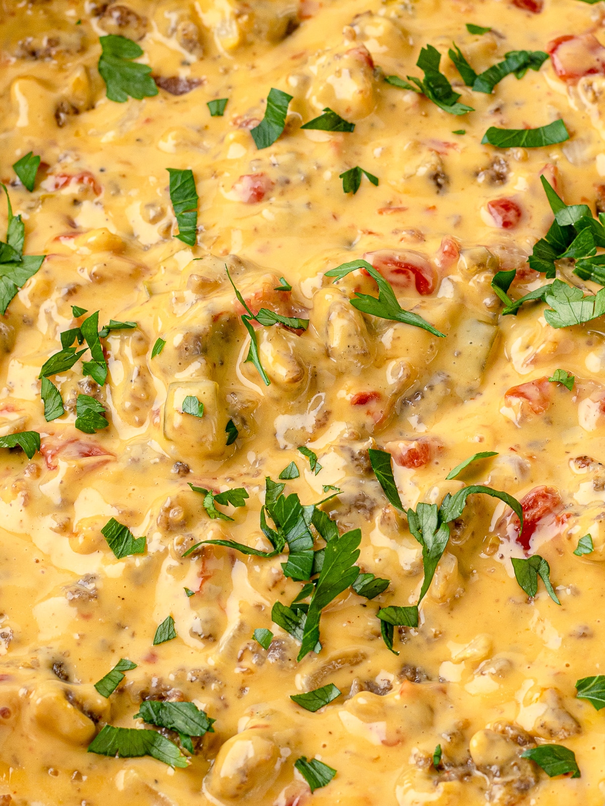 Close up of Smoked Queso Dip