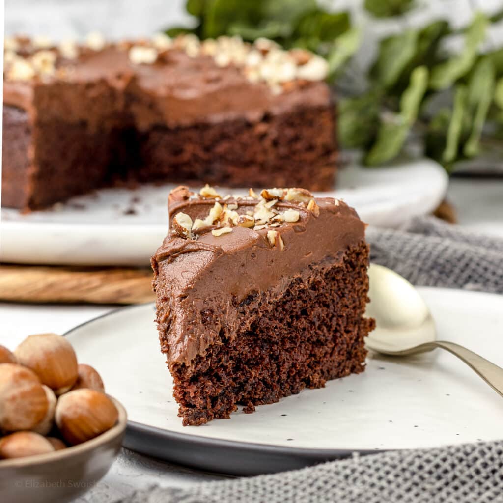 Chocolate Nutella Cake with Nutella Buttercream and chopped hazelnuts. Slice on a plate ready to eat.