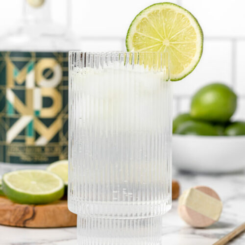 Non Alcoholic Gin and Tonic in a highball glass with limes and lime slices on the side. Non alcoholic gin and a stirrer in the background.