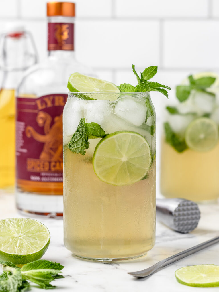 The mocktail mixed up and garnished with lime slices and fresh mint leaves. Ingredients on the side for mixing up more.