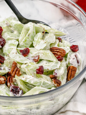 A big bowl of creamy celery salad with dried cranberries and toasted pecans ready to eat.