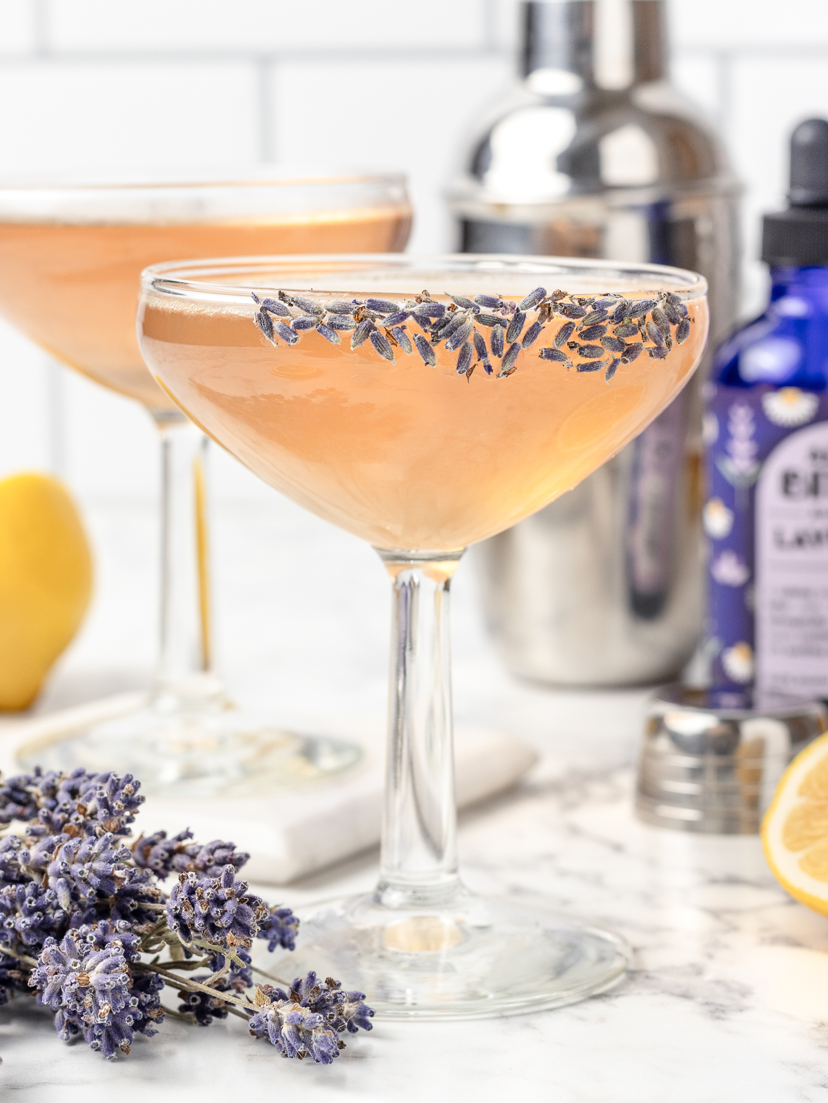 A coupe glass filled with the mocktail and garnished with a lavender bud rim and more lavender flowers on the side.