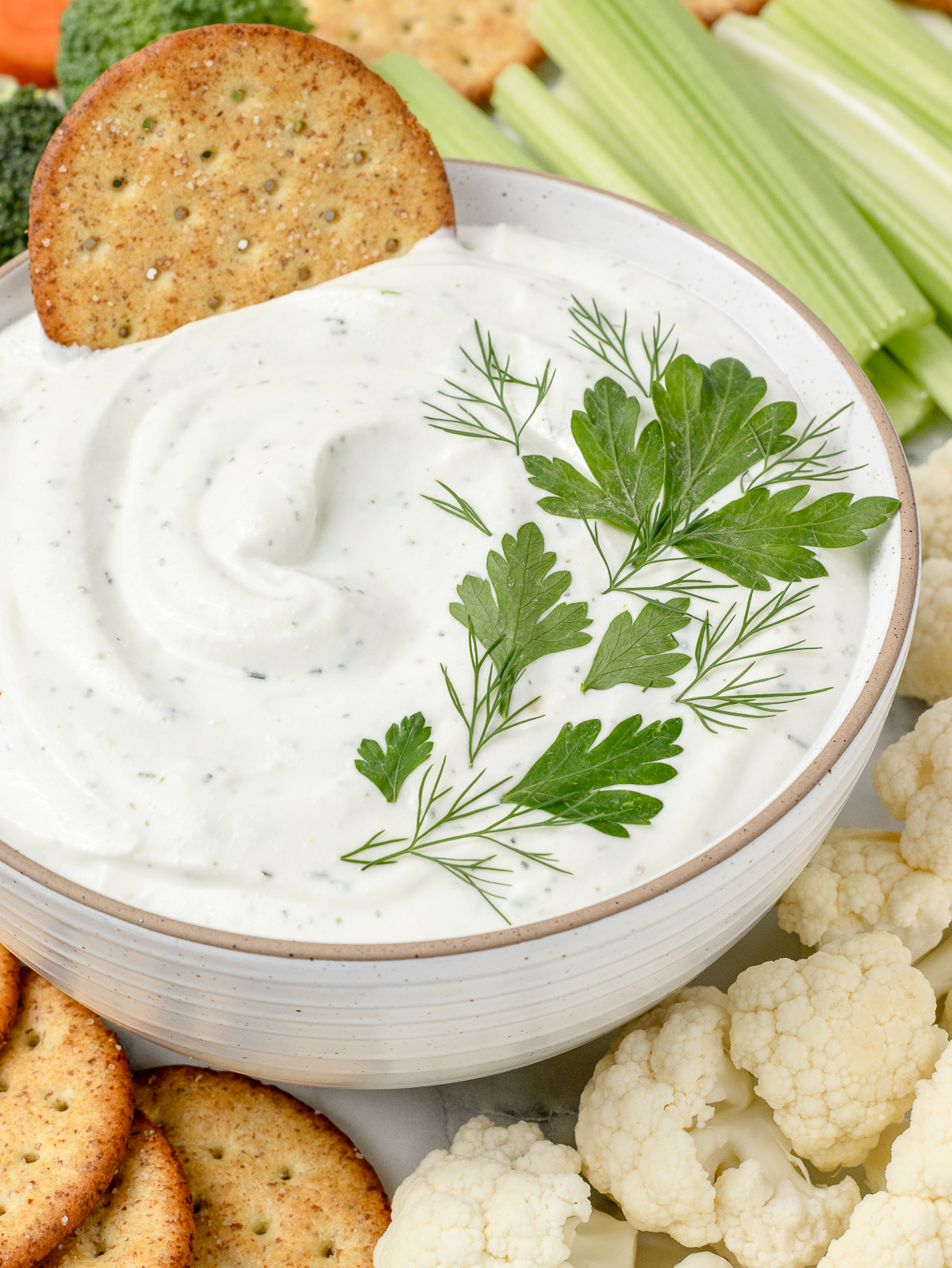 Cracker being dipped in the Cottage Cheese Ranch Dip with more dippers on the side.