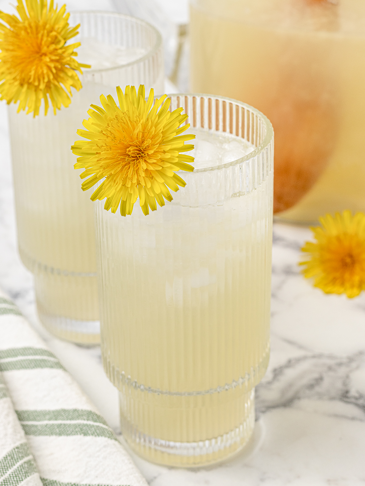 Glasses of iced Dandelion Lemonade garnished with a dandelion. There is a pitcher of lemonade in the back as well.