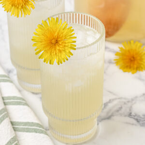 Glass of iced Dandelion Lemonade garnished with a dandelion.