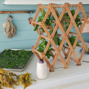 How to Hang Dry Herbs. Herbs tied up in bundles and hanging on a wood rack. There are more herbs on a cooling rack and other larger bundles tied up and on the side.