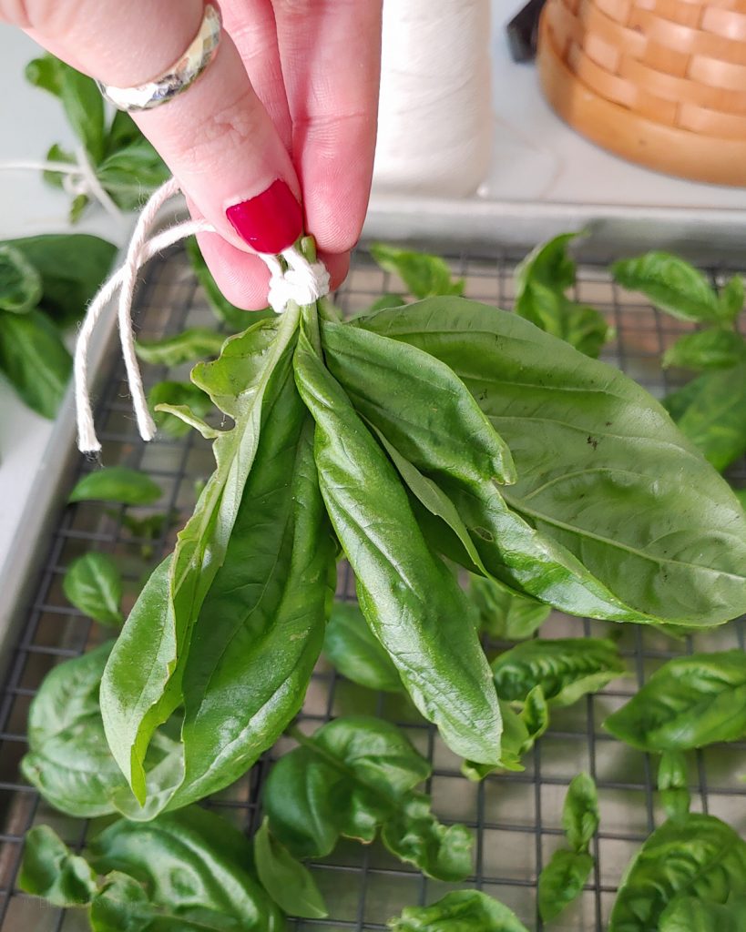 Small bundle of fresh herb leaves tied together with twine.