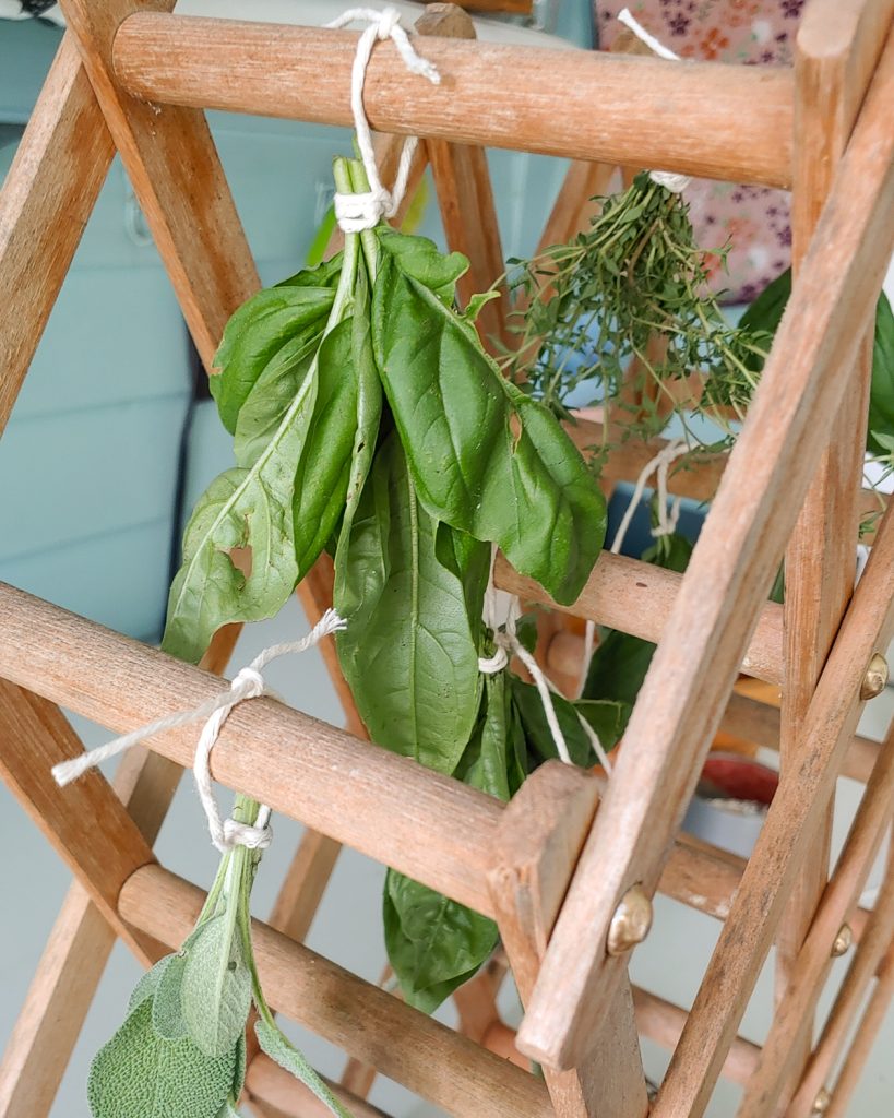 Bundle of fresh herbs hanging on a wood rack.