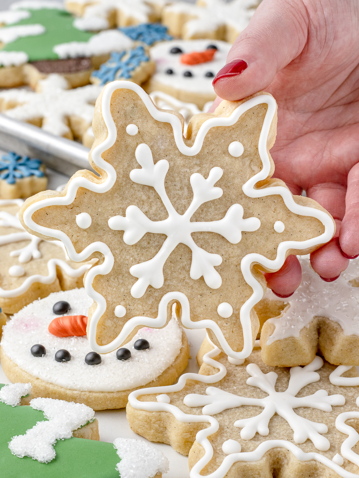 Hand holding a sugar cookie that is lightly iced. You can see the flecks of vanilla bean on the cookie.