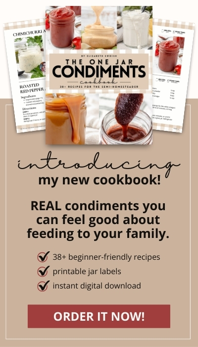 Introducing my New Cookbook! Real condiments you can feel good about feeding to your family. 38+ beginner-friendly recipes. Printable Jar Labels. Instant digital download. Order it Now!