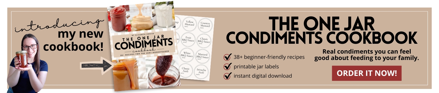Introducing my New Cookbook! The One Jar Condiments Cookbook. Real condiments you can feel good about feeding to your family. 38+ beginner-friendly recipes. Printable Jar Labels. Instant digital download. Order it Now!
