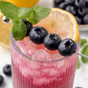 A pretty magenta Blueberry Mocktail garnished with fresh blueberries, a sprig of mint, and slice of lemon.