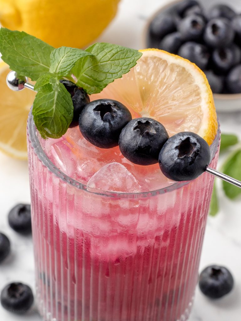 Close up of the mocktail and it's garnish of fresh blueberries, a sprig of mint, and slice of lemon.