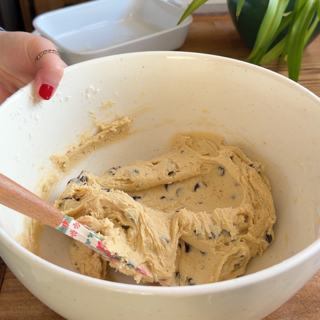 Chocolate Chip Cookie Dough mixed up.